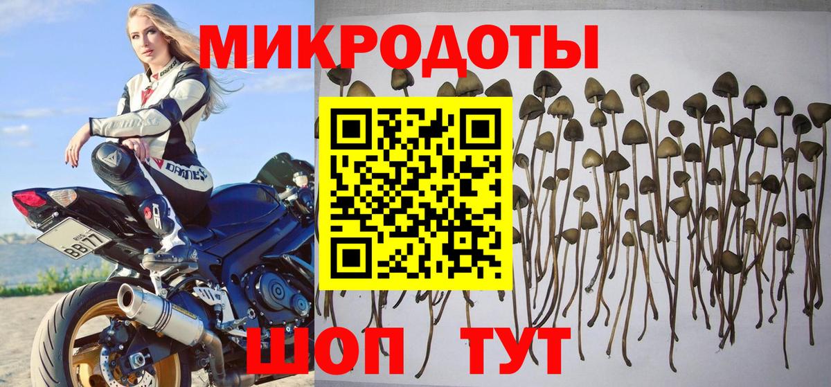 Галлюциногенные грибы Magic Shrooms Гуково